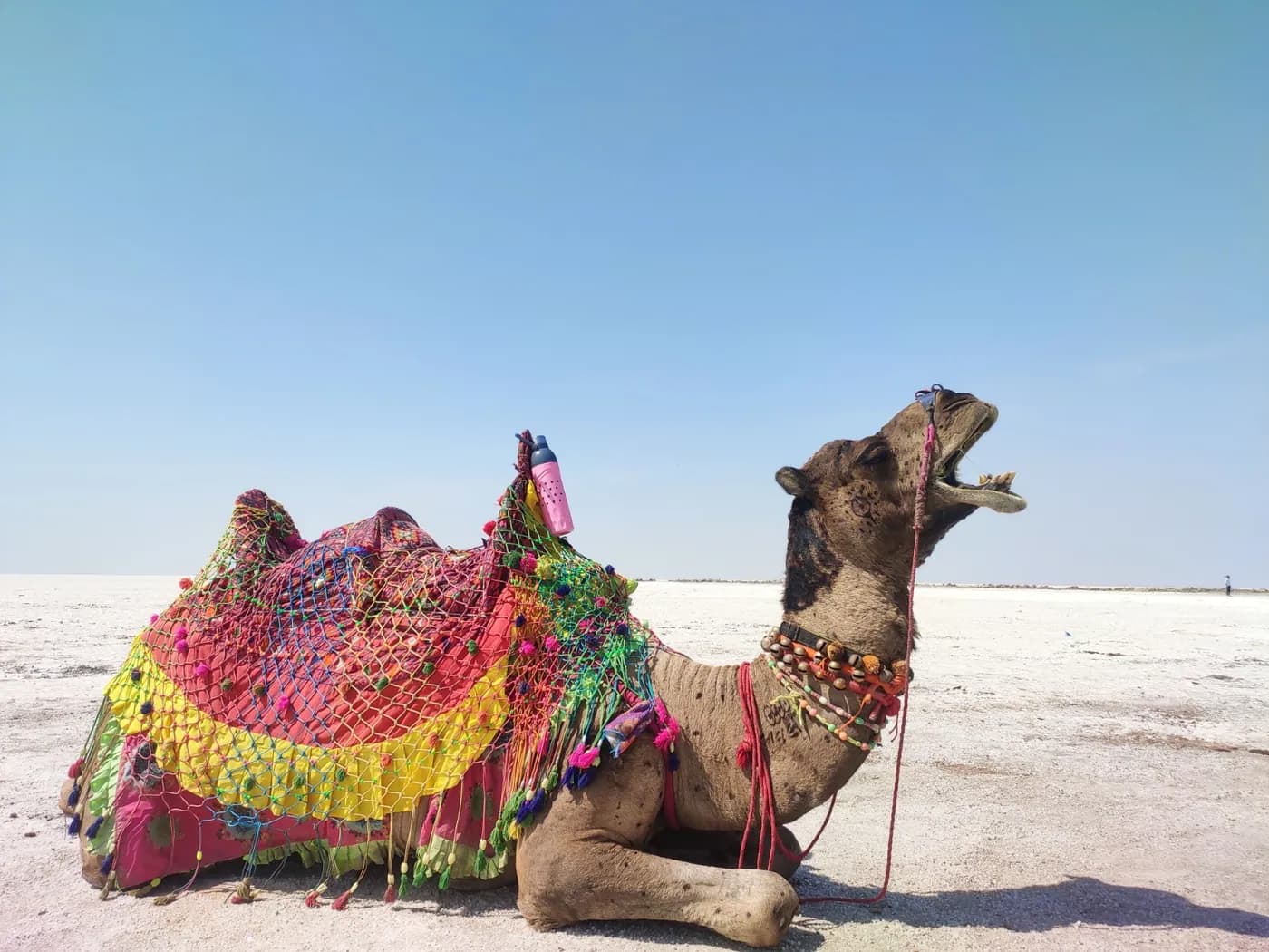 Ahmedabad to Kutch